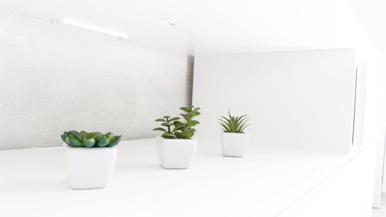 Apartment Centrum Valga